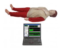 TY-CPR780型高级心肺复苏模拟人(计算机控制 )