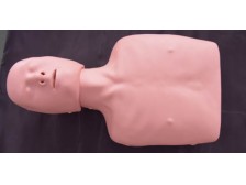 TY-CPR120简易心肺复苏训练模型